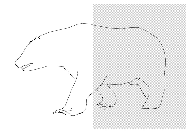 animal hand drawing and sketch black and white.