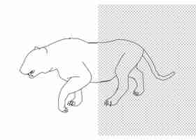 PSD animal hand drawing and sketch black and white.