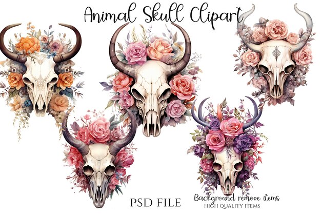 PSD animal skull clipart
