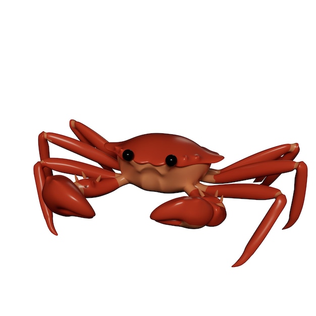 Animals amp Ocean 3D Ilustracja