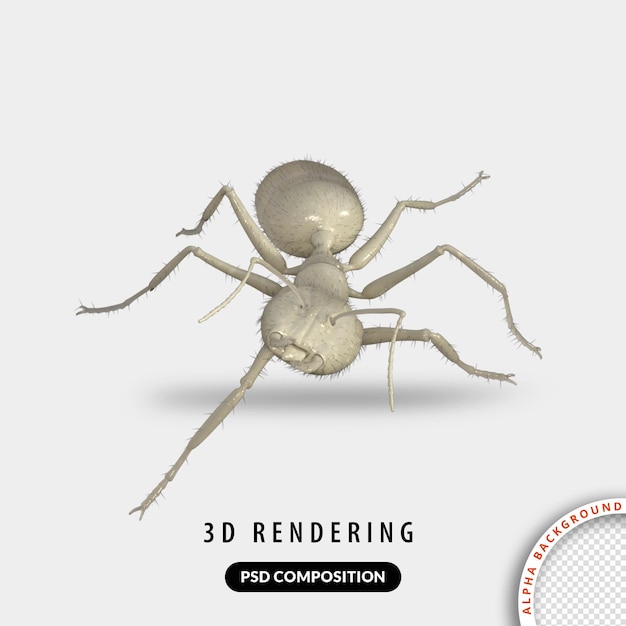 Ant 3D-modellen