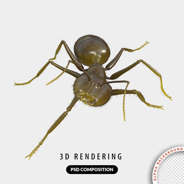 PSD ant 3d models