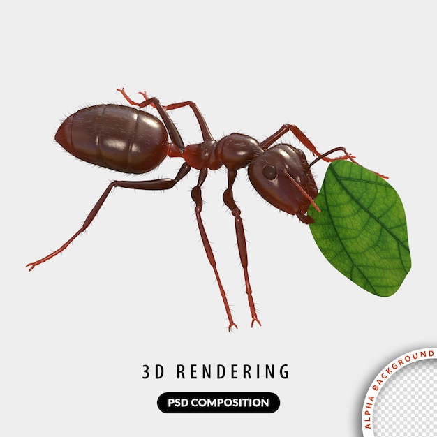 Ant 3D models