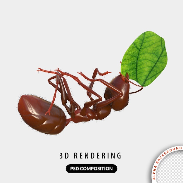 PSD ant 3d models