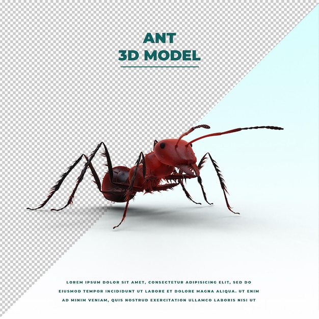 PSD ant isolated model