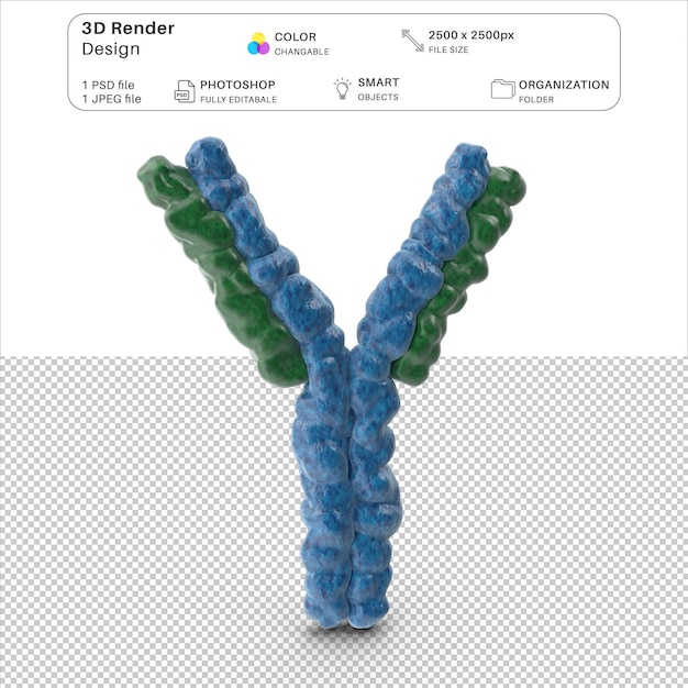 PSD 抗体3dモデリングpsdファイル