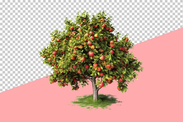 PSD Яблочный сад изолированный объект прозрачный фон