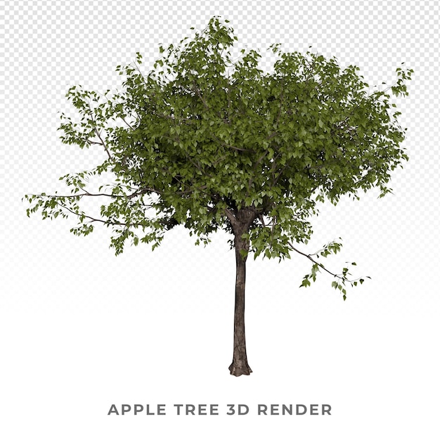 PSD apple tree 3d render