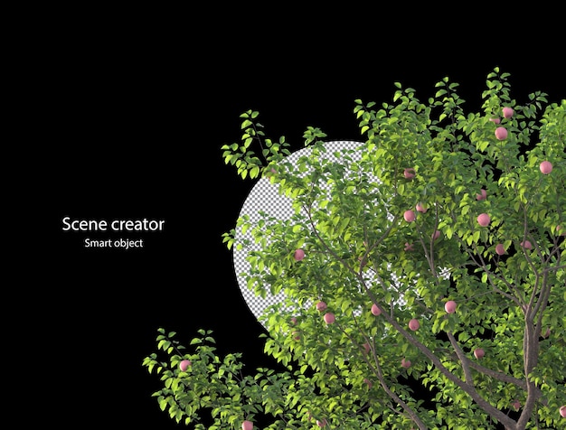Apple tree and  apple branch isolated rendering