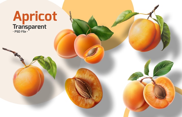 PSD apricot fruit isolated on transparent background