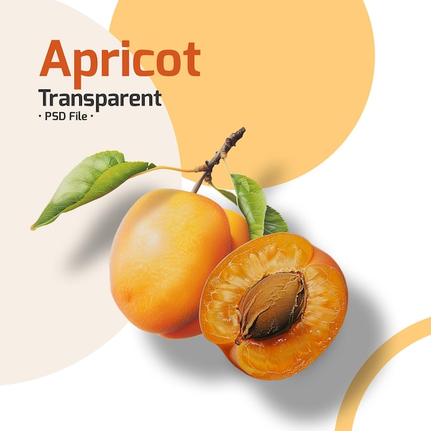 PSD apricot fruit isolated on transparent background