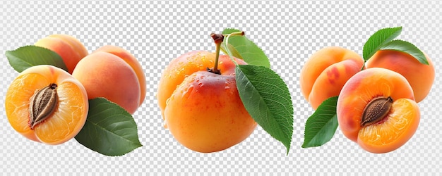 PSD apricot isolated on transparent background apricot png generative ai