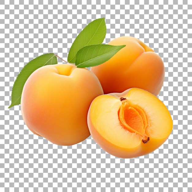 Apricot on transparent background