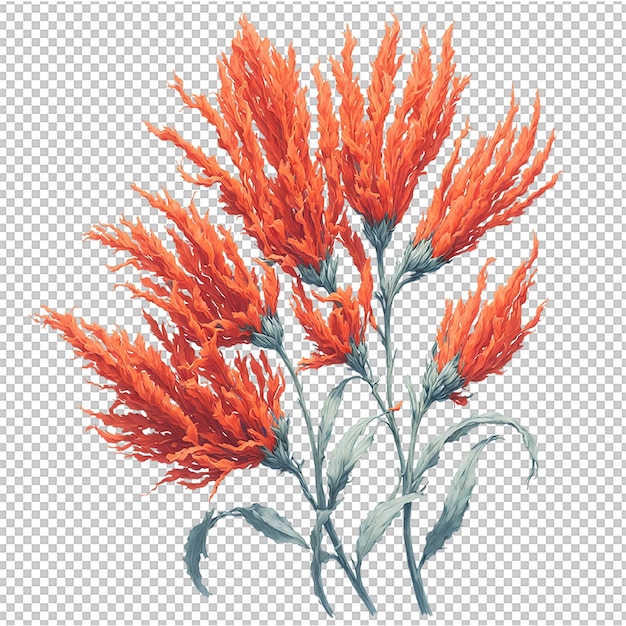 PSD aquarel bloem