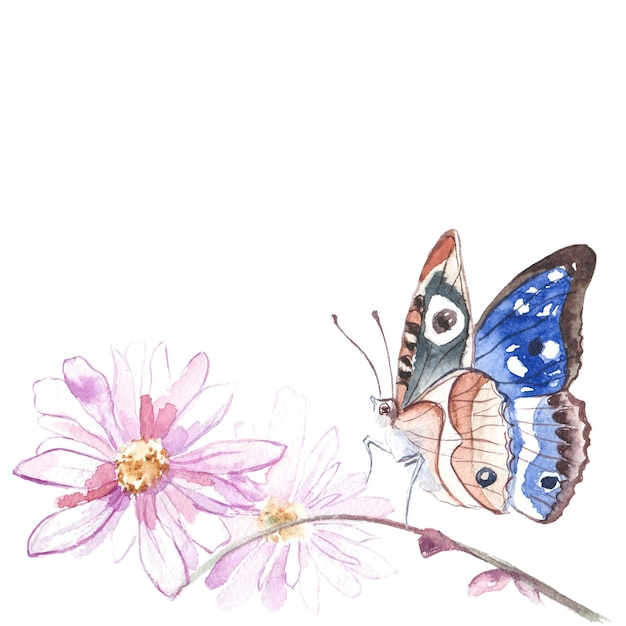 PSD aquarel geschilderde vlinder handgetekende ontwerpelementen geïsoleerd op een witte achtergrond