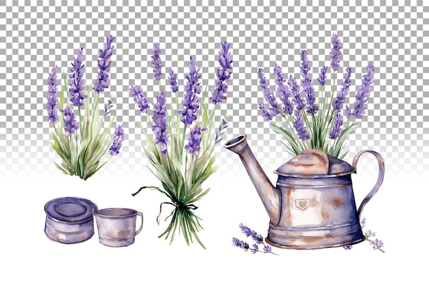 PSD aquarel lavender flower illustration farmhouse vintage style set voor rustic wedding design.