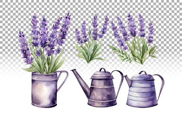 PSD aquarel lavender flower illustration farmhouse vintage style set voor rustic wedding design.