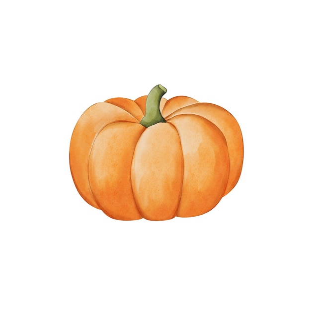 Aquarel pompoen icoon Leuke groente sticker teken herfst seizoen oktober kaart Witte achtergrond