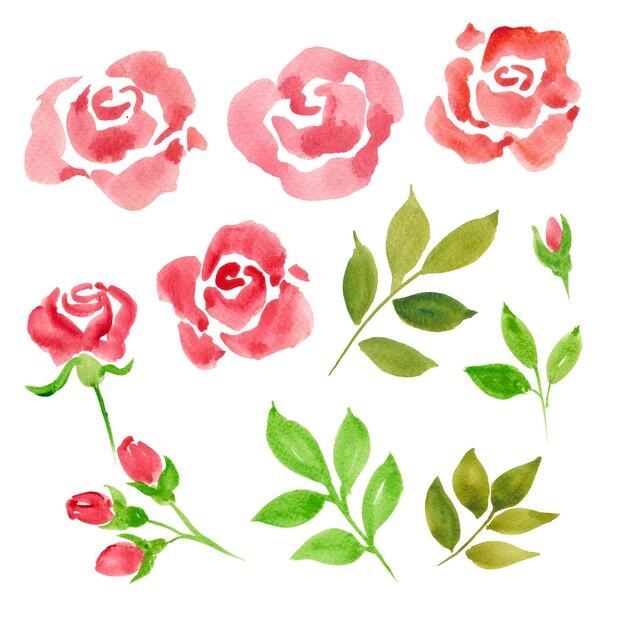aquarel roos clipart set