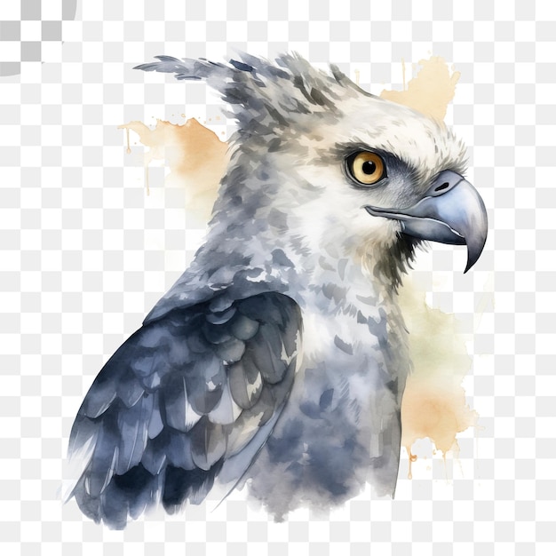 Aquarel schilderij van een vogel met een geel oog en een zwart-witte achtergrond, hd png download