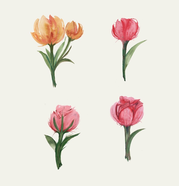 PSD aquarel tulp illustratie