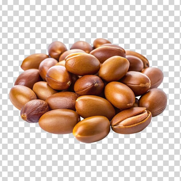 PSD argan seeds isolated on transparent background international day of argania