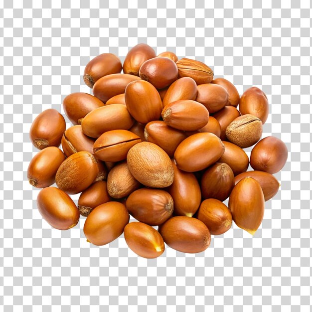 PSD argan seeds isolated on transparent background international day of argania