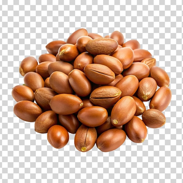 Argan seeds isolated on transparent background international day of argania