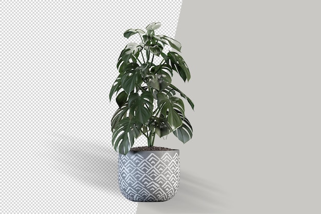 Angoli ariosi della pianta di monstera in vaso nella rappresentazione 3d