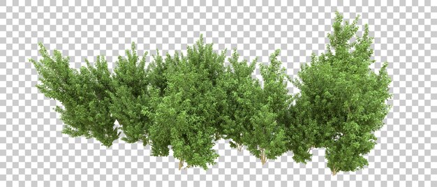 Arka planda izole edilmiş yeşil orman 3D render illüstrasyonu