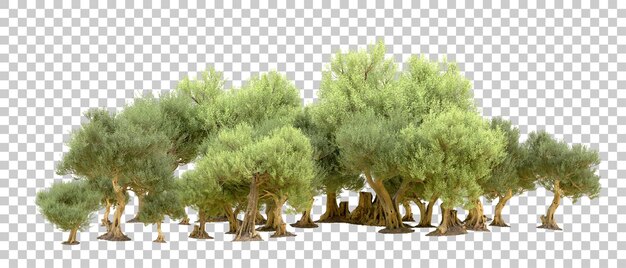 Arka planda izole edilmiş yeşil orman 3D render illüstrasyonu