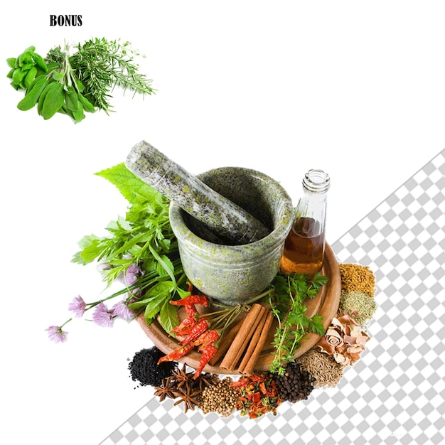 Aromatic Herbs and Spices in Mortar and Pestle