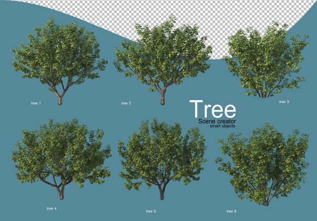 arrangement of various types of trees in different colors