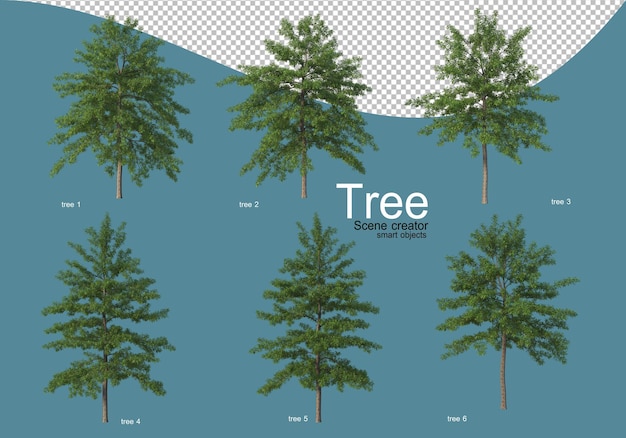 PSD arrangement of various types of trees in different colors