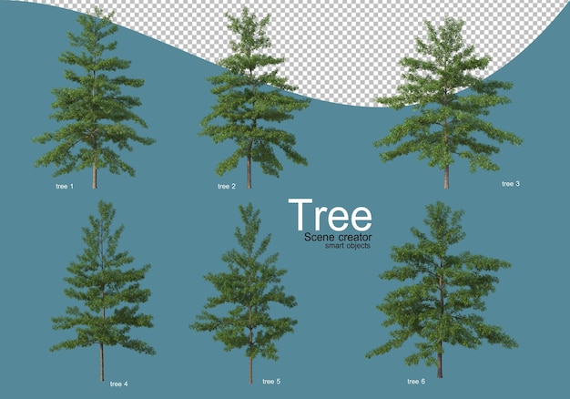 Arrangement of various types of trees in different colors