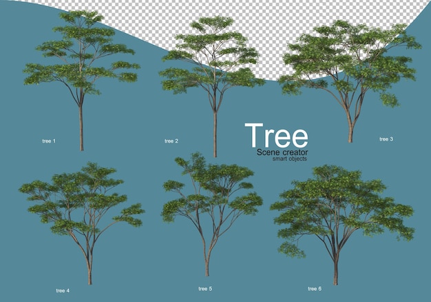 Arrangement of various types of trees in different colors