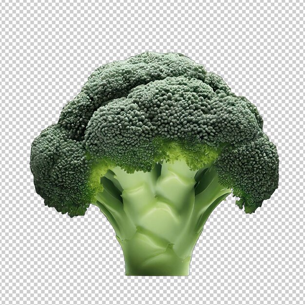 PSD the art of broccoli culinary elegance