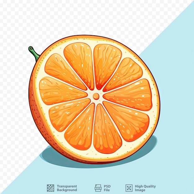 PSD rappresentazione artistica dell'arancia e della sua fetta