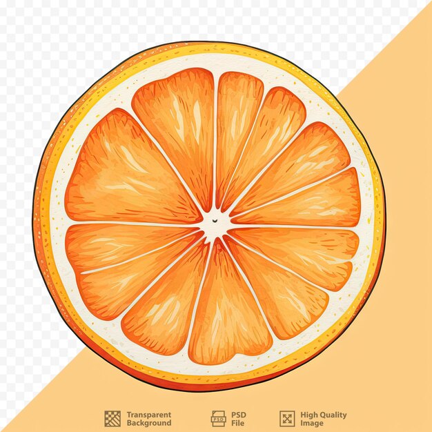 PSD artistic depiction of orange and its slice