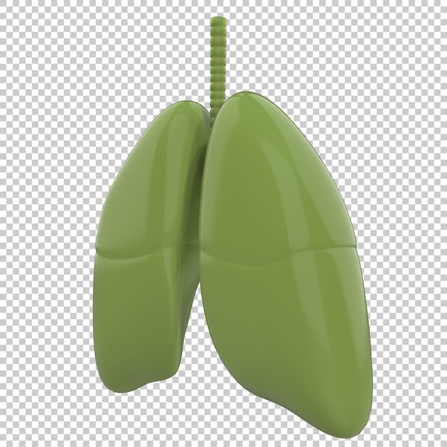 PSD artistic human lungs isolated on transparent background 3d rendering illustration