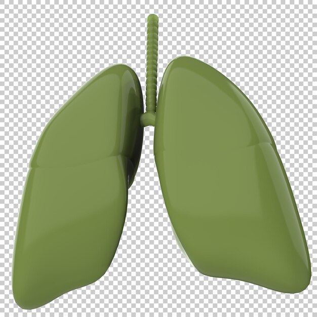 Artistic human lungs isolated on transparent background 3d rendering illustration