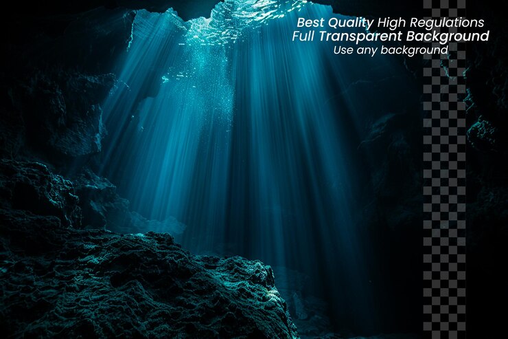 PSD artistic underwater photography and decoration under sea ocean world marine nautical on transparent