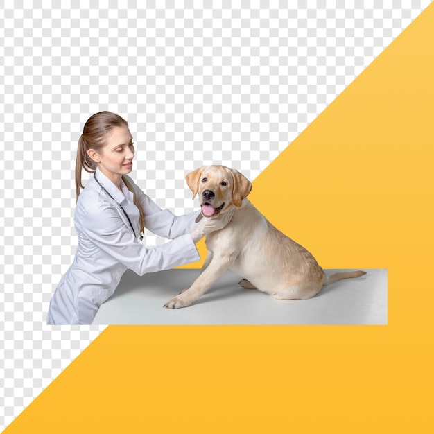 arts controleer hond