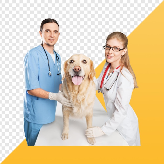 arts die een hond vasthoudt