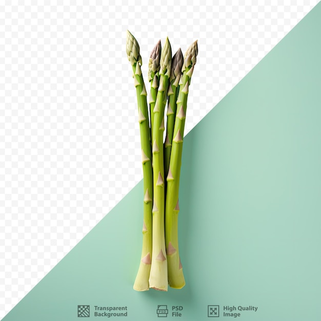 Asparagus against black with empty area