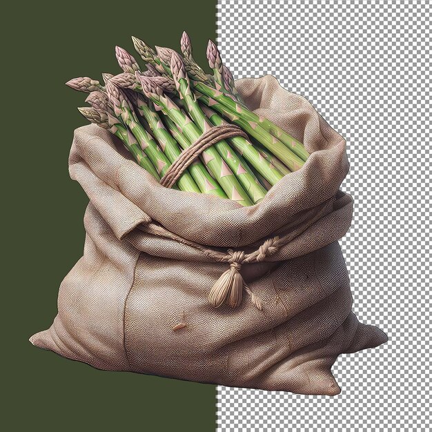 PSD asparagus cluster png