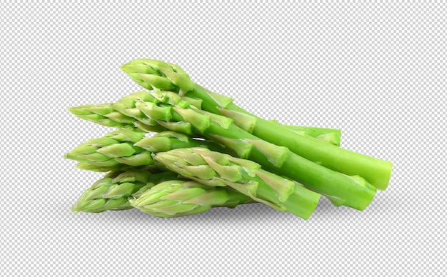 Asparagus isolated on alpha layer