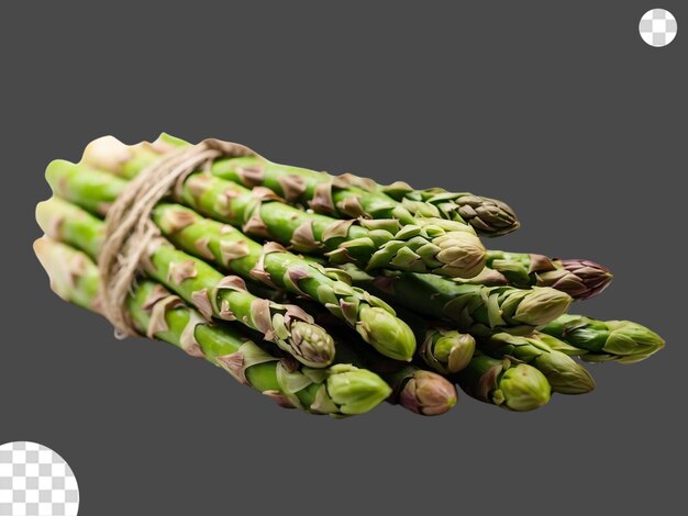 Asparagus png doorzichtig