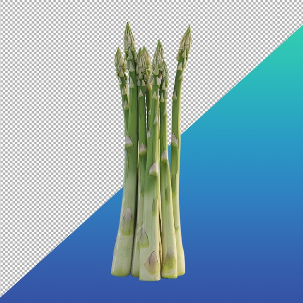 Asparagus png