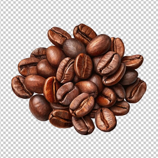 PSD assorted coffee beans